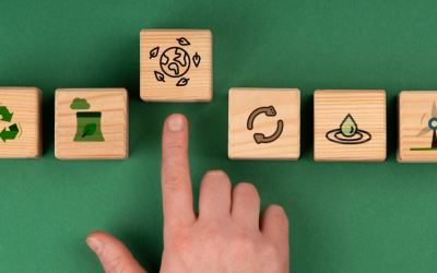 RSC y Sostenibilidad en el Sector Óptico: Guía Estratégica para CEOs